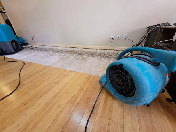 Professional Burst Pipe Water Damage technician working in Wilmington, NC